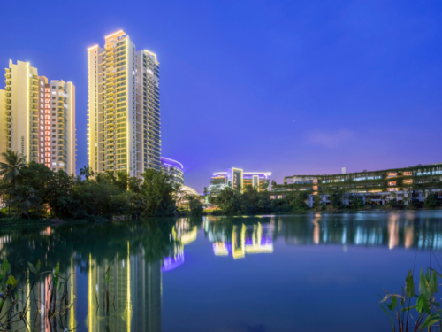 森林城市 实景图 1